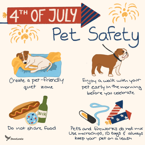 Fireworks and Furry Friends Keeping Your Pets Safe on the Fourth